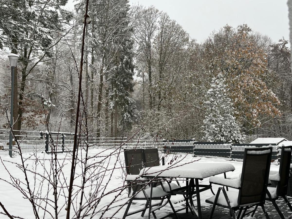 Ferienhaus Hinz Darlingerode Екстериор снимка